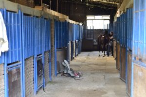 Equitação para crianças