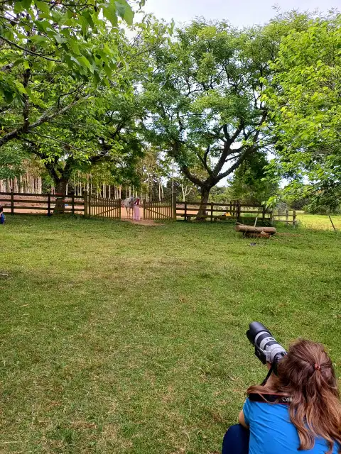 Experiencia MF Horse