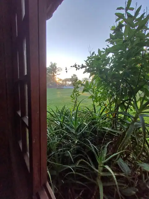 Paisaje MF Horse eventos