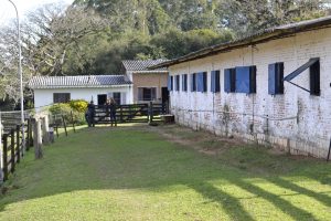 Como começar na equitação