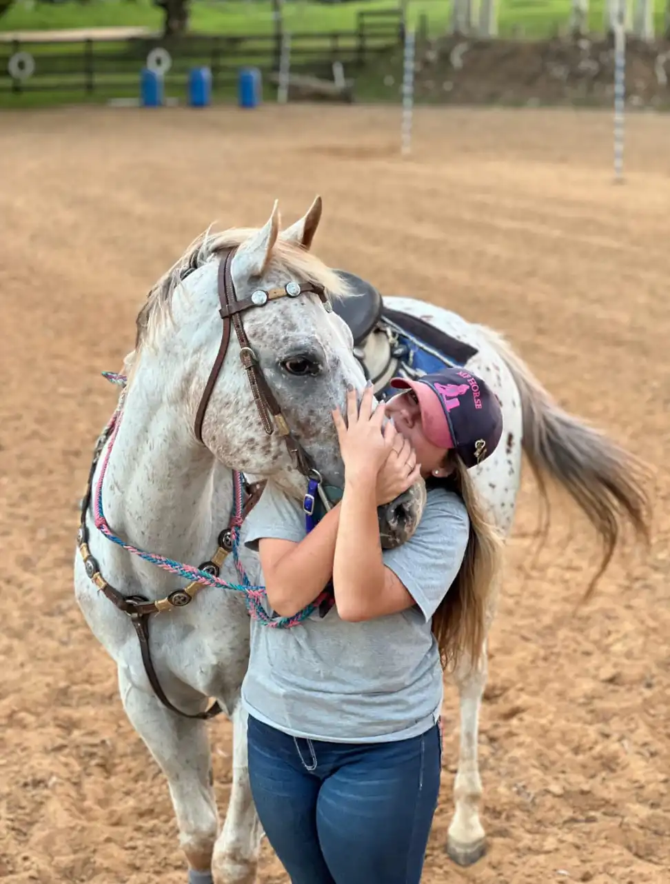 Área exterior MF Horse