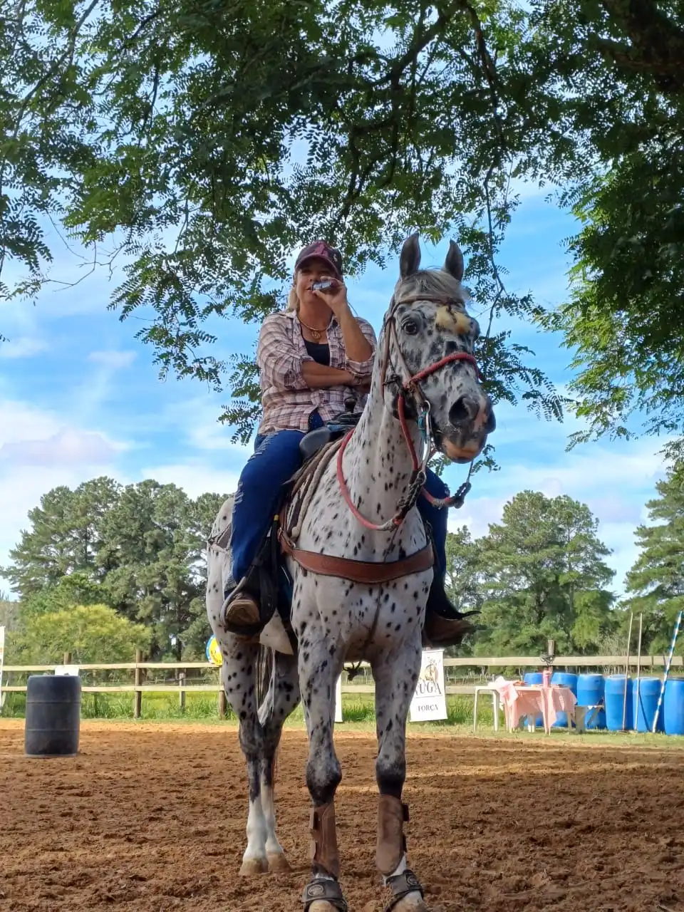 Picadero cubierto MF Horse